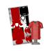 FPF2024-Home Jersey and Metal Sheet-Buildable Kit-Edited