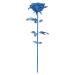 P099-B GLODEN ROSE, BLUE_ (3)