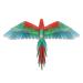 P118-NBR SCARLET MACAW_ (8)