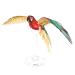 P118-NBR SCARLET MACAW_ (2)