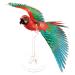 P118-NBR SCARLET MACAW_ (4)