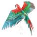 P118-NBR SCARLET MACAW_ (7)